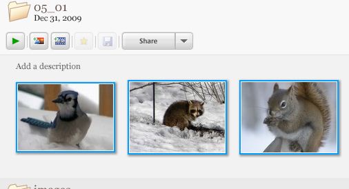 uploading photos to flickr uploading photos to flickr